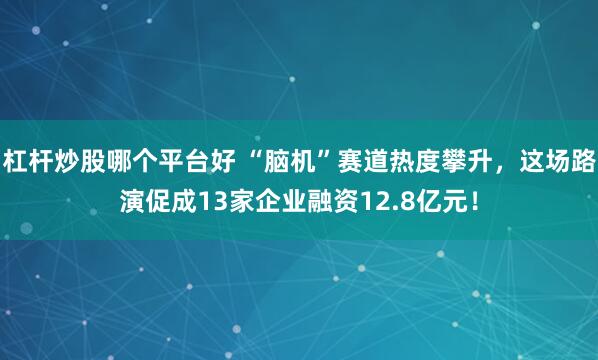 杠杆炒股哪个平台好 “脑机”赛道热度攀升，这场路演促成13家企业融资12.8亿元！